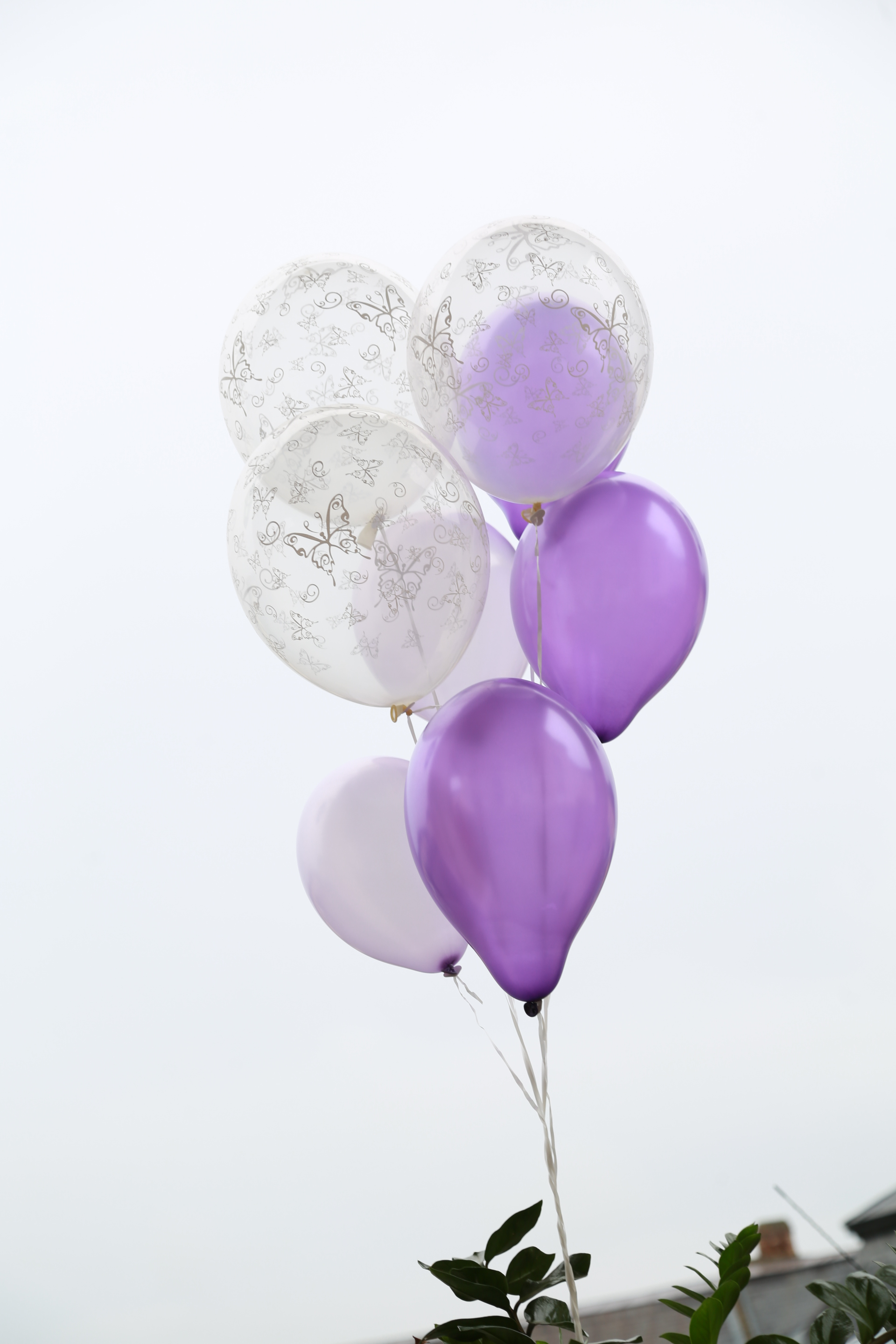 Stephi & Tomas Hochzeit 1